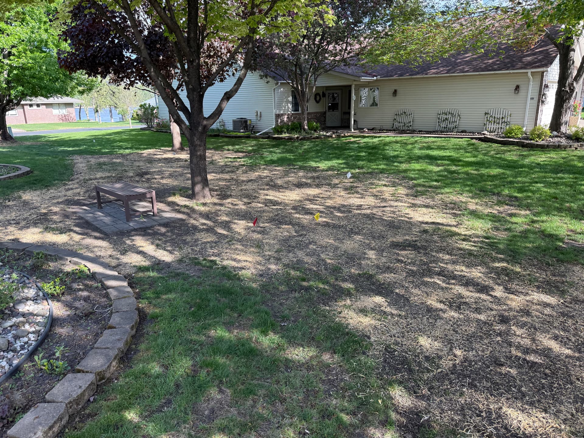 Gallery photos for Yard Drainage Fix and Full Lawn Renovation Done Right: Image #1