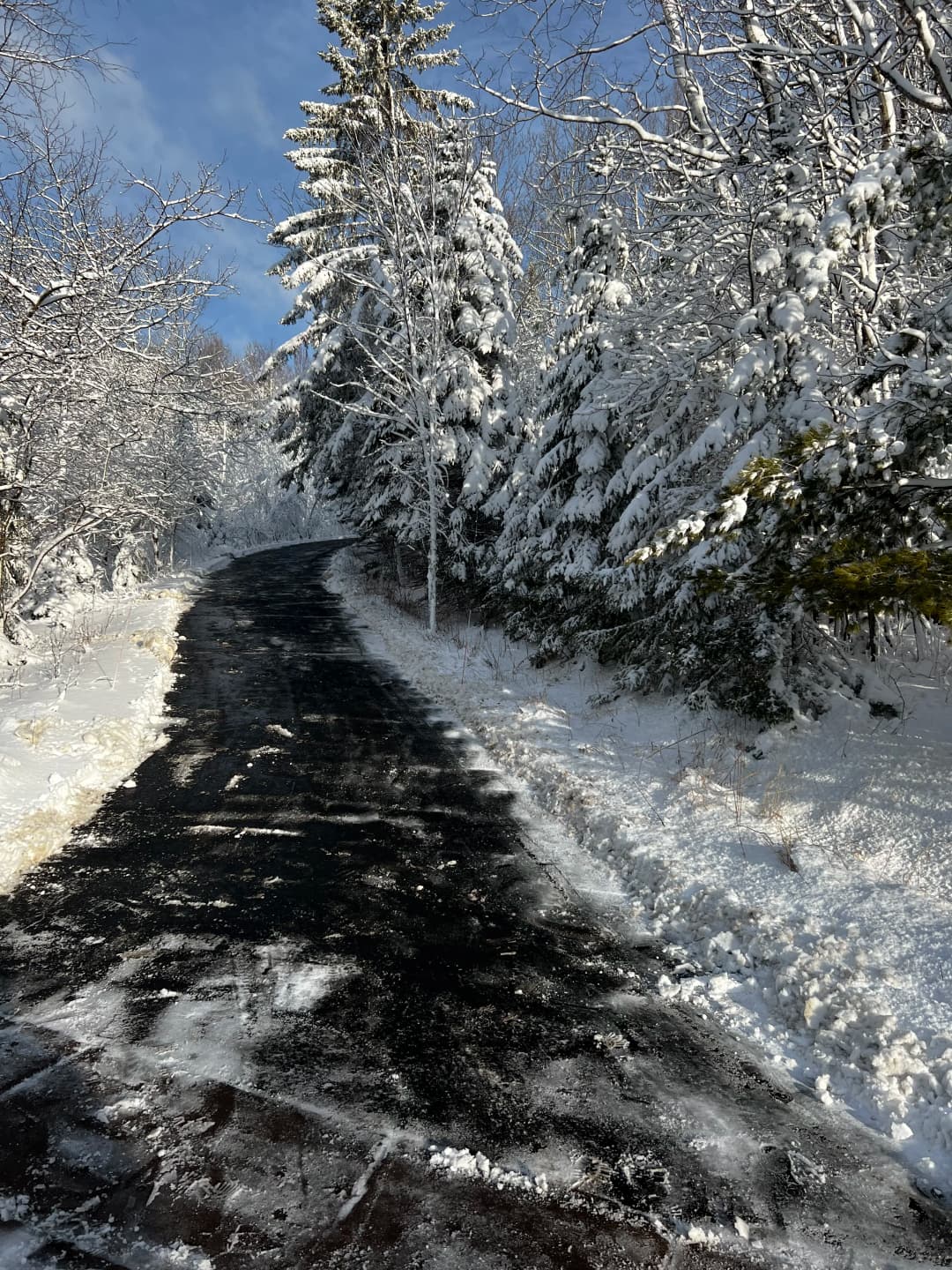 Snow-covered road winding through tall, snow-laden trees under a clear blue sky.