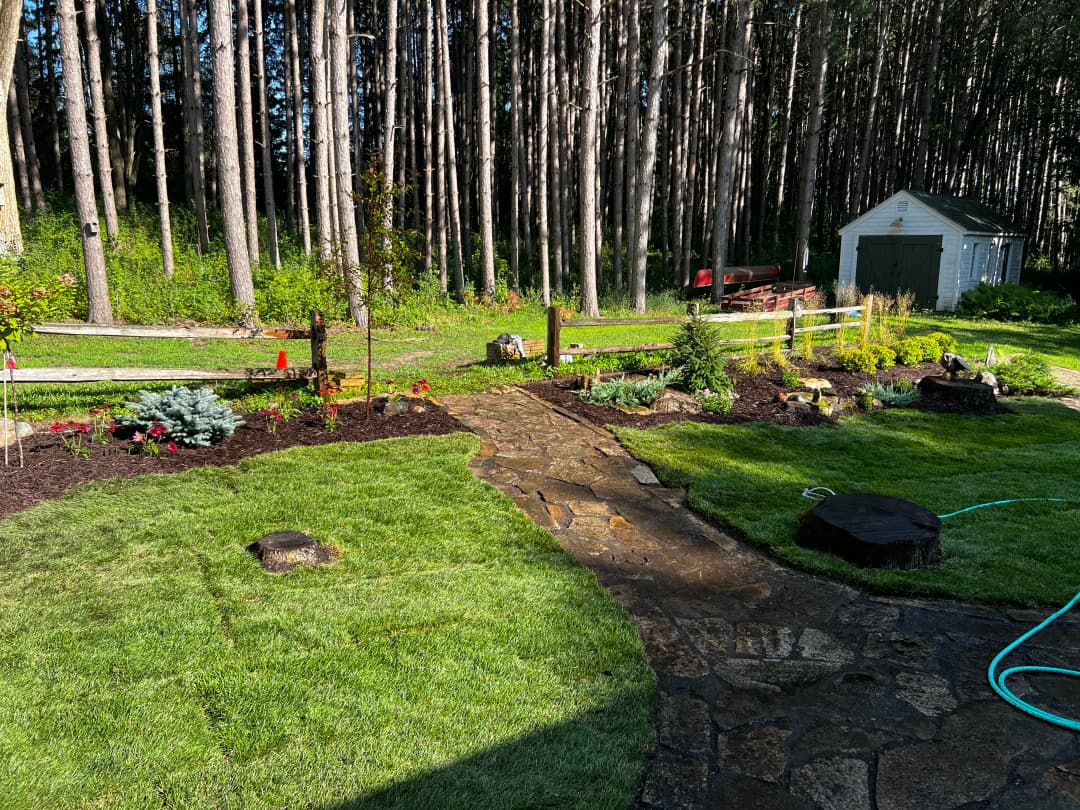 Lush garden pathway with vibrant flowers, stone path, and forest backdrop. Ideal for landscaping ideas.