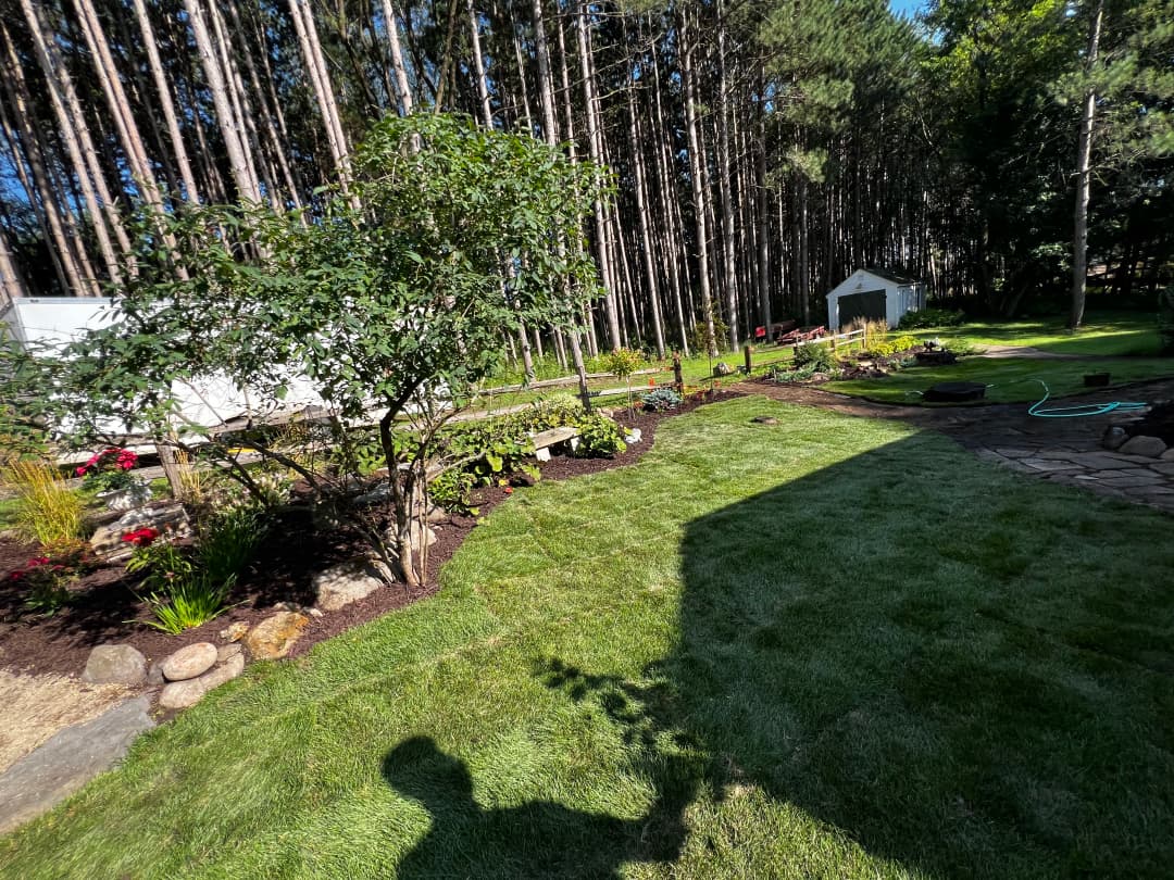 Lush backyard with landscaped garden, trees, and a garden shed in a wooded area.