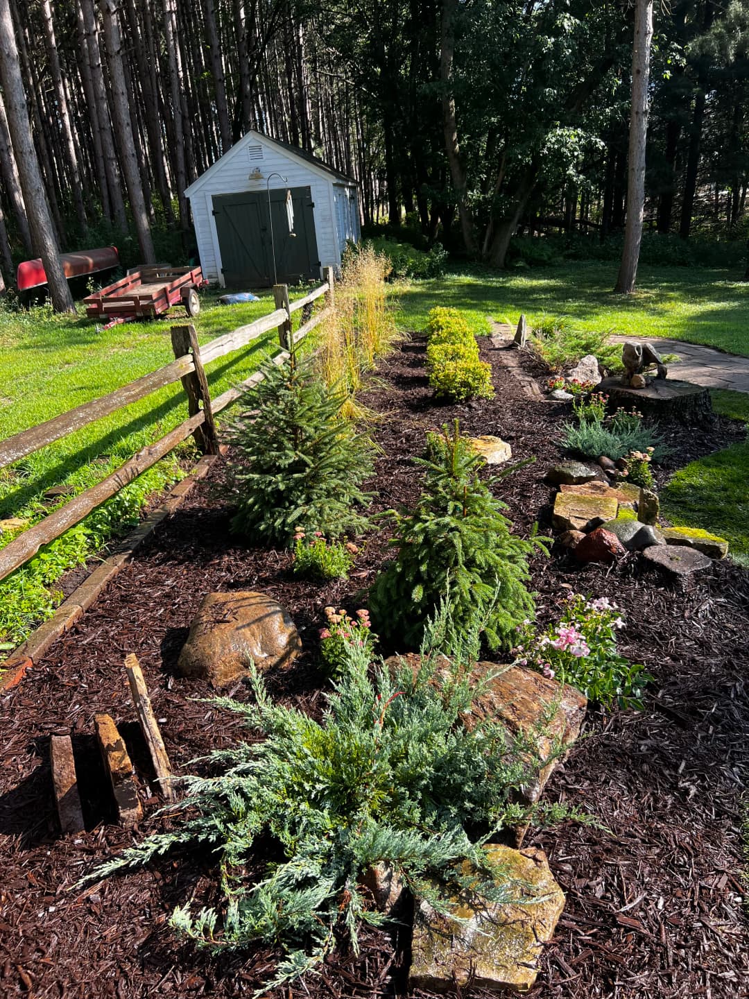 Lush garden with evergreen trees, colorful plants, and a wooden shed in the background.