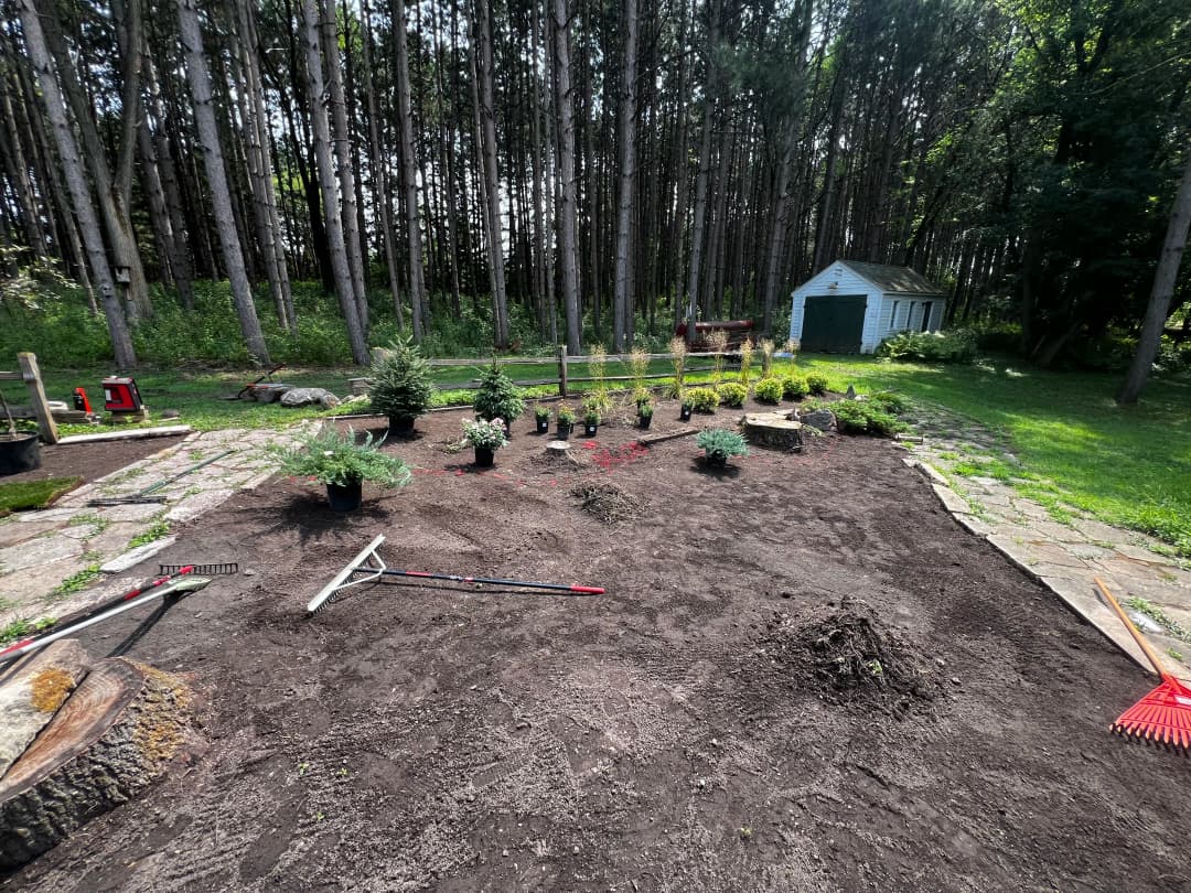 Garden landscaping project with plants arranged in preparation for planting in a wooded area.