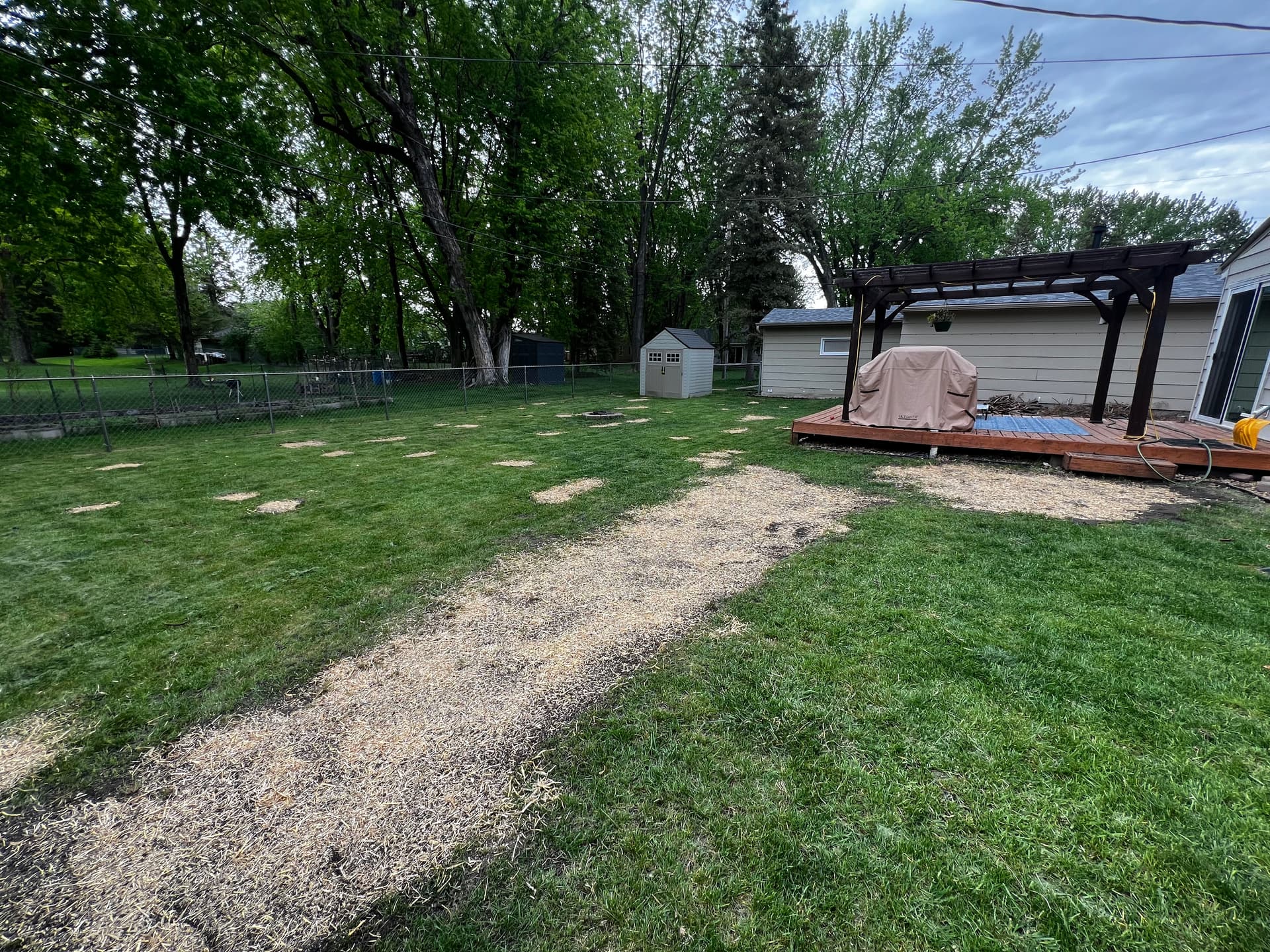 Gallery photos for Regrading and Lawn Renovation to Fix a Soggy, Uneven Yard: Image #2