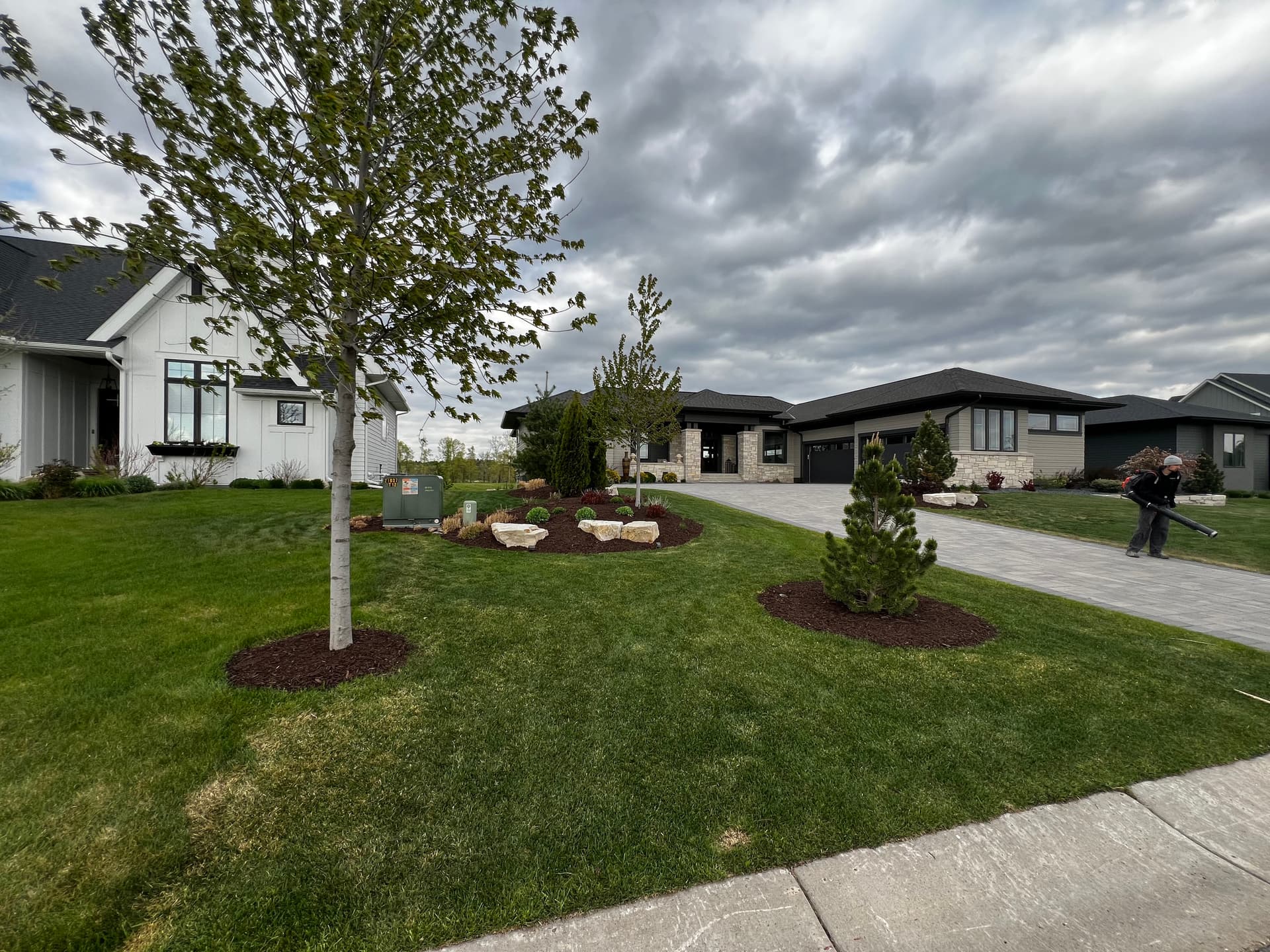 Gallery photos for Full Property Mulch Refresh with Premium Dark Brown and Specialty Finishes: Image #3