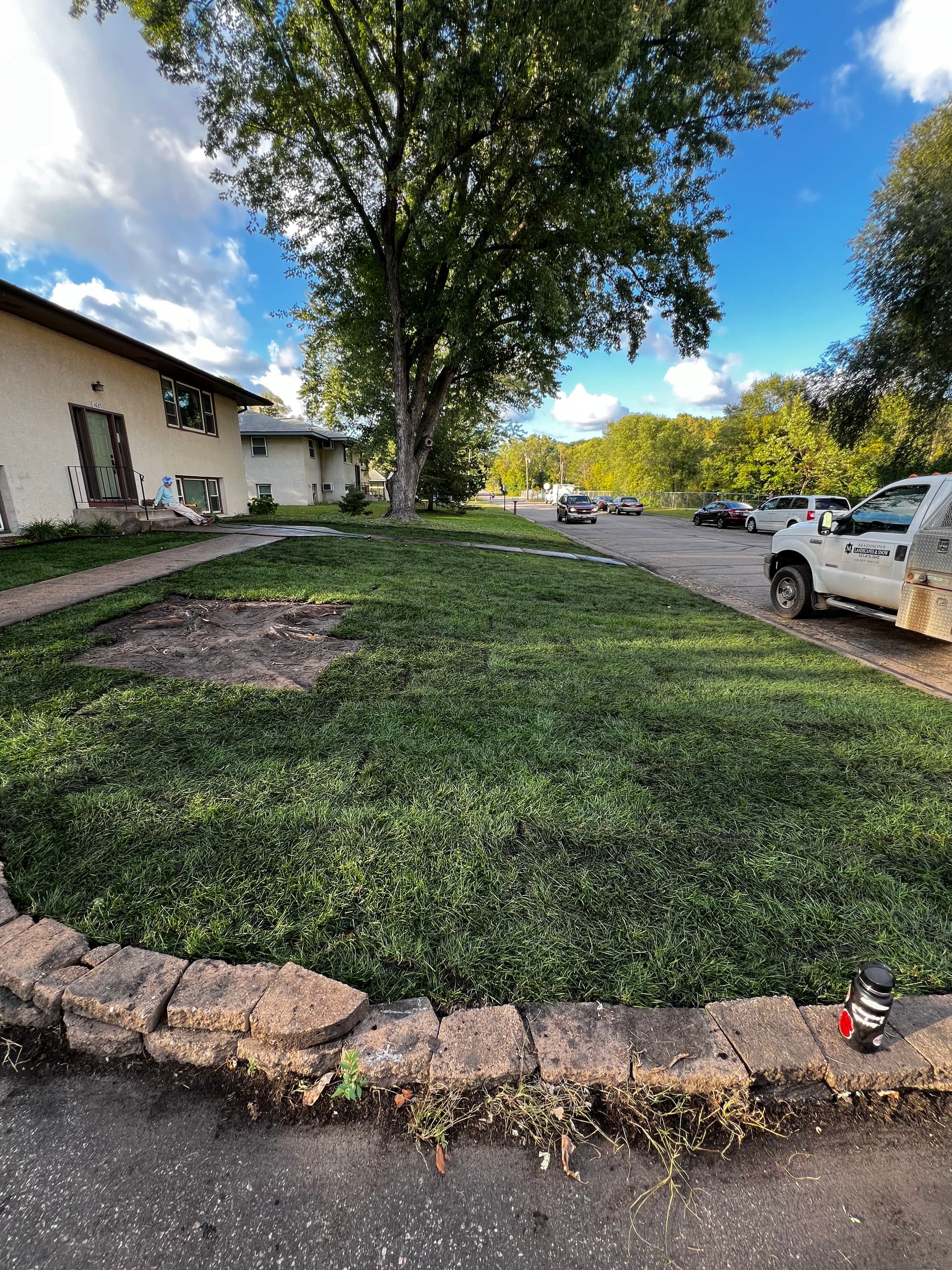 Gallery photos for Lawn Regrading and Sod Installation Done the Right Way: Image #2