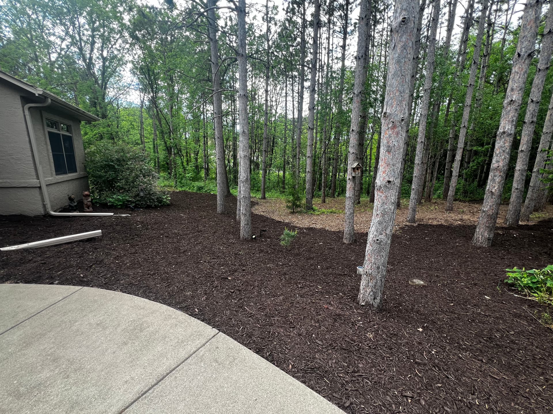 Gallery photos for Large-Scale Walnut Brown Mulch Install That Actually Made a Difference: Image #3