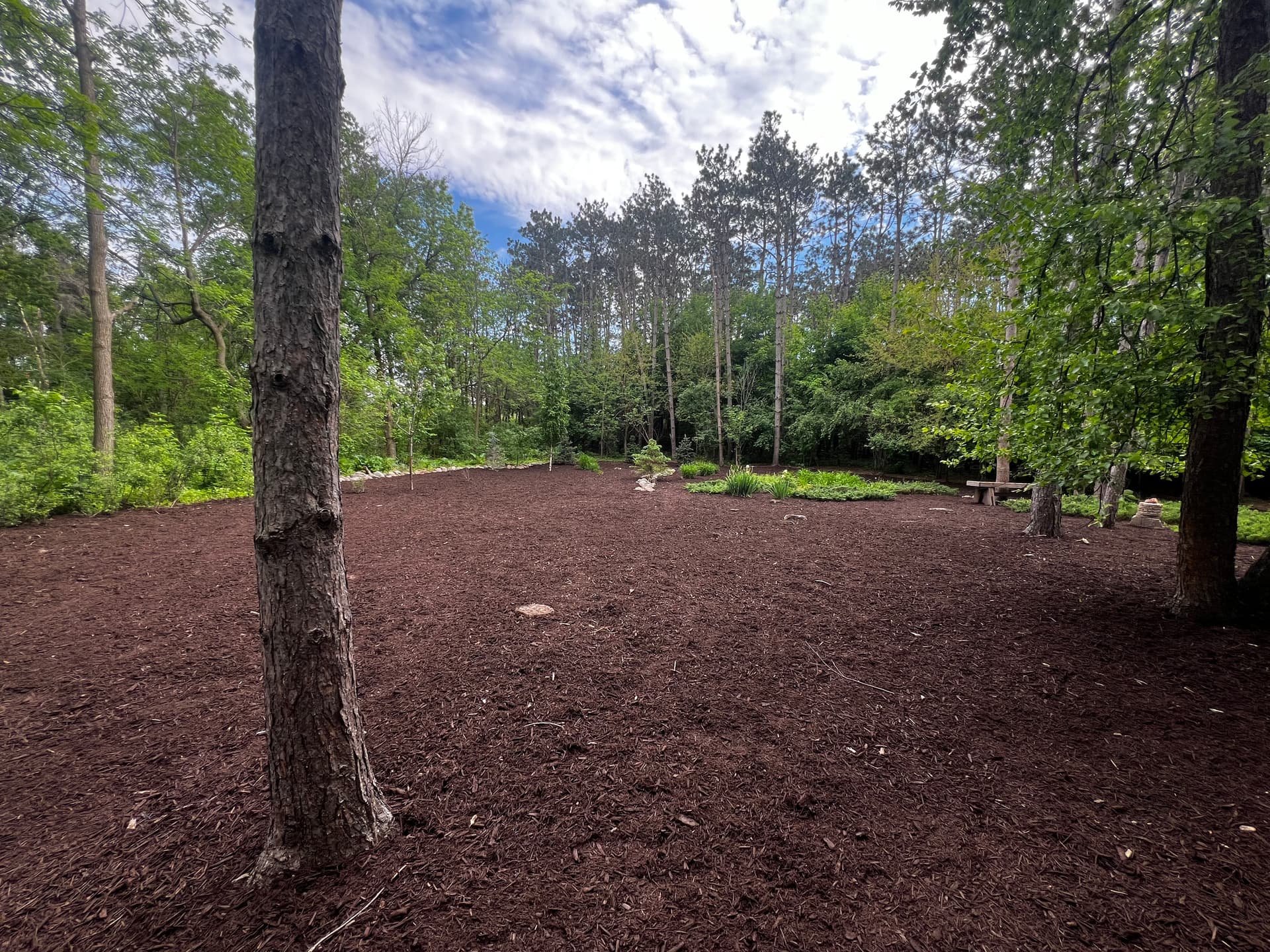 Gallery photos for Large-Scale Walnut Brown Mulch Install That Actually Made a Difference: Image #1