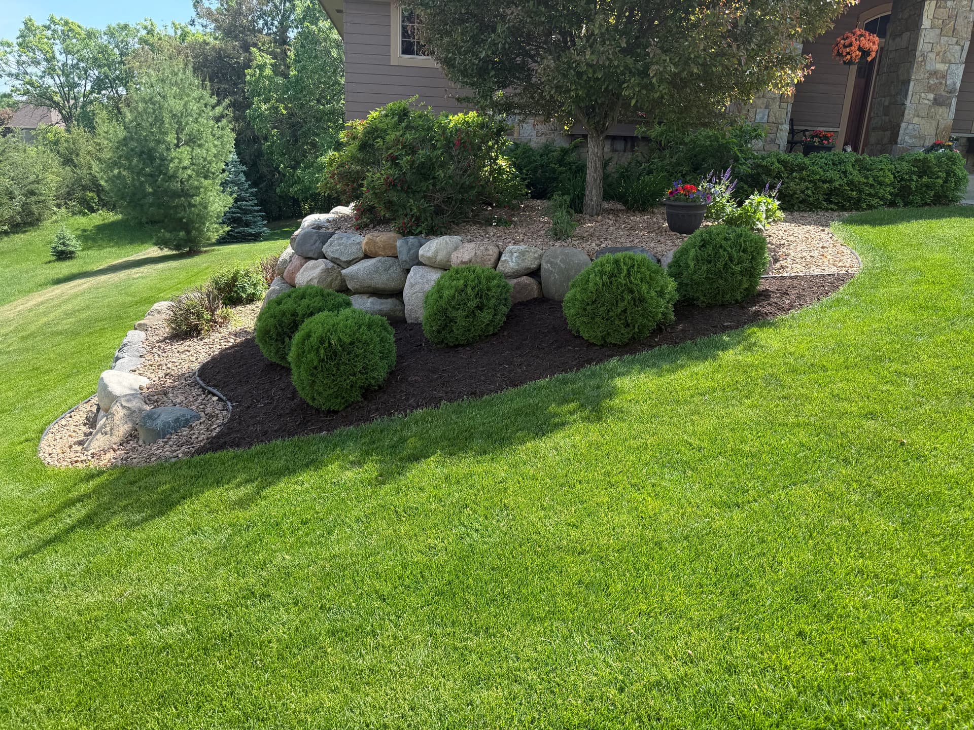 Gallery photos for Fresh Walnut Brown Mulch That Actually Makes a Difference: Image #5