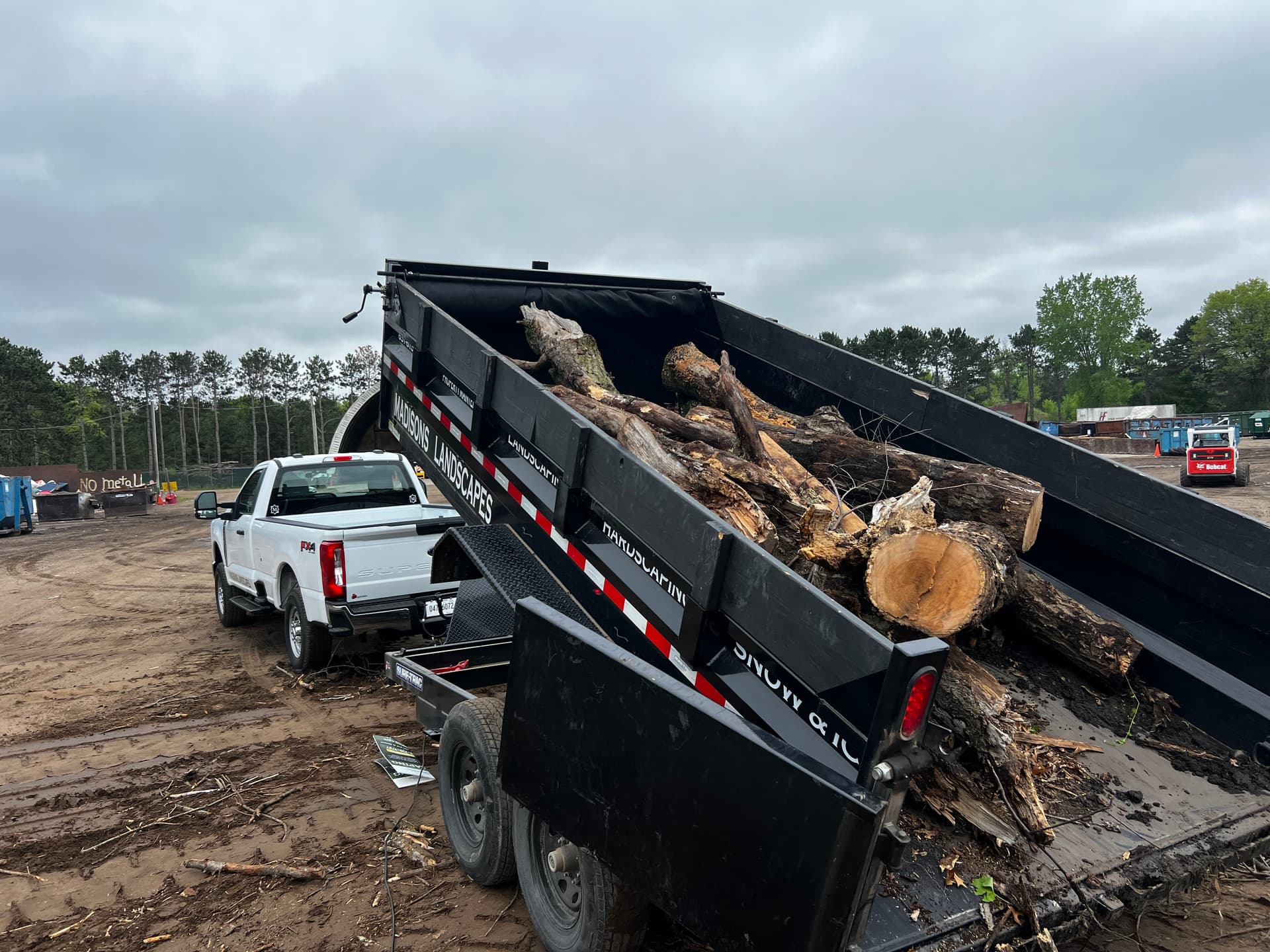Gallery photos for Heavy Brush and Log Clearing on Overgrown Acreage: Image #3