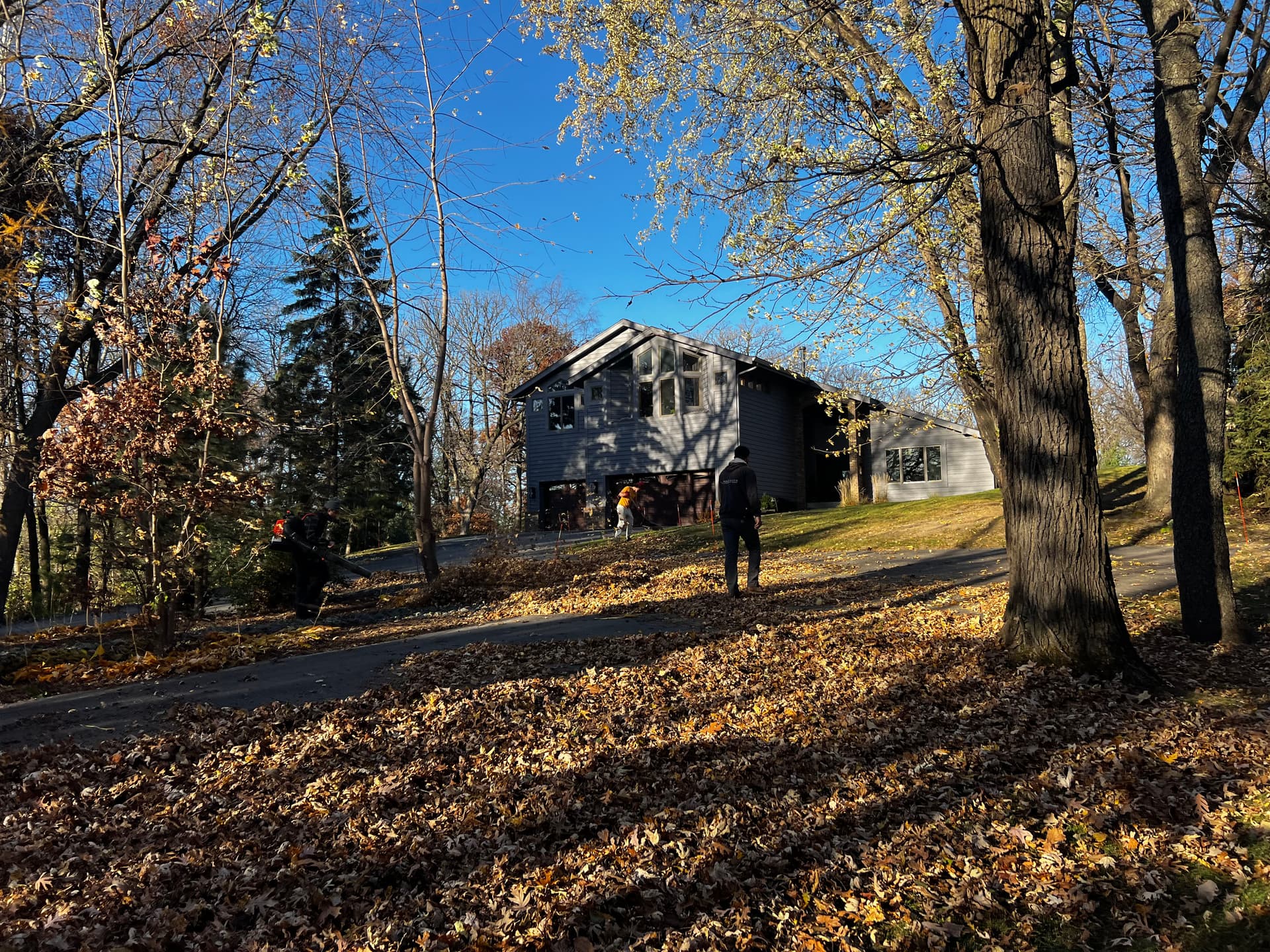Gallery photos for Fall Cleanup Done Right - Leaves, Beds, and Everything Between: Image #1