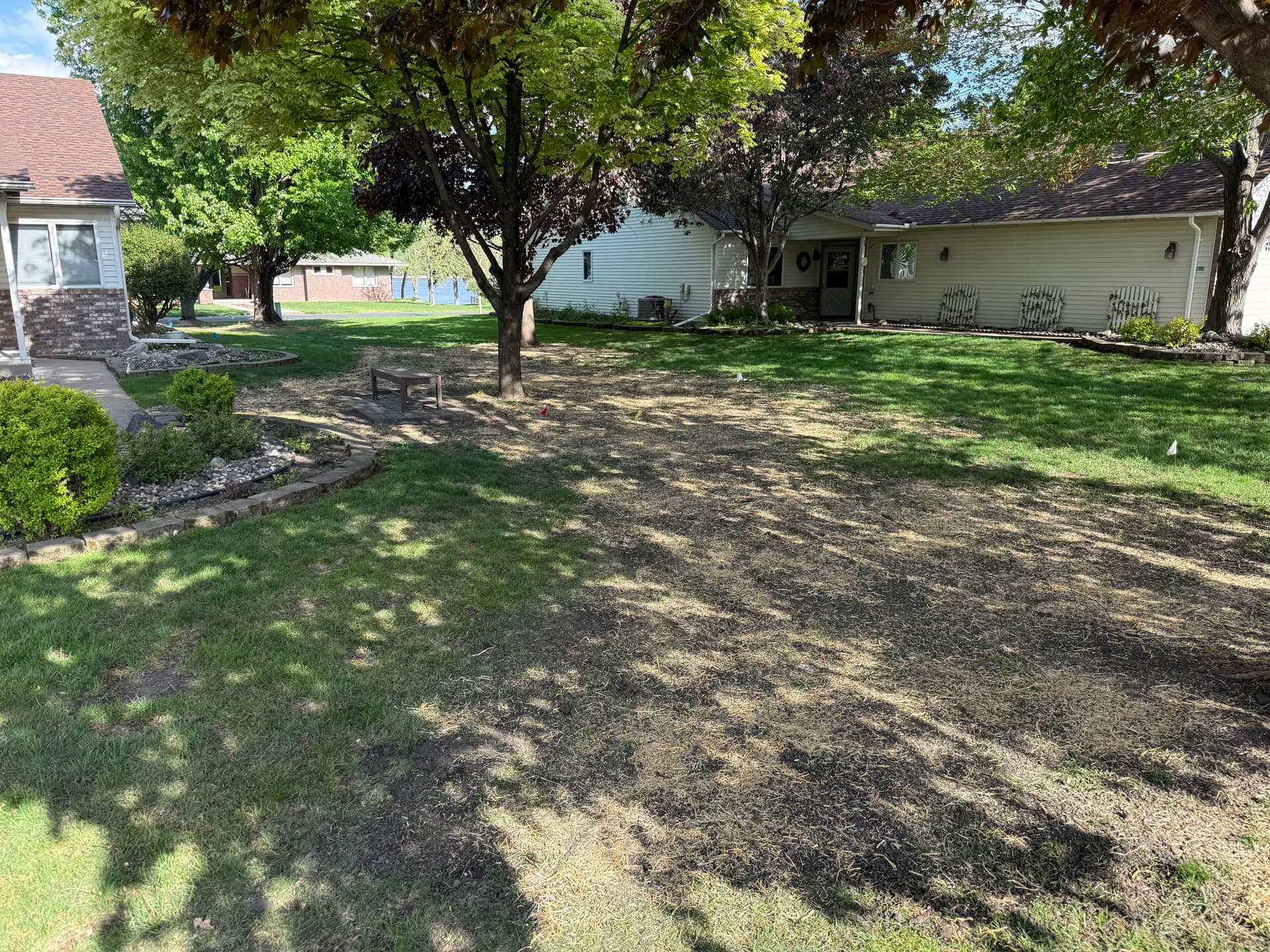 Yard Drainage Fix and Full Lawn Renovation Done Right