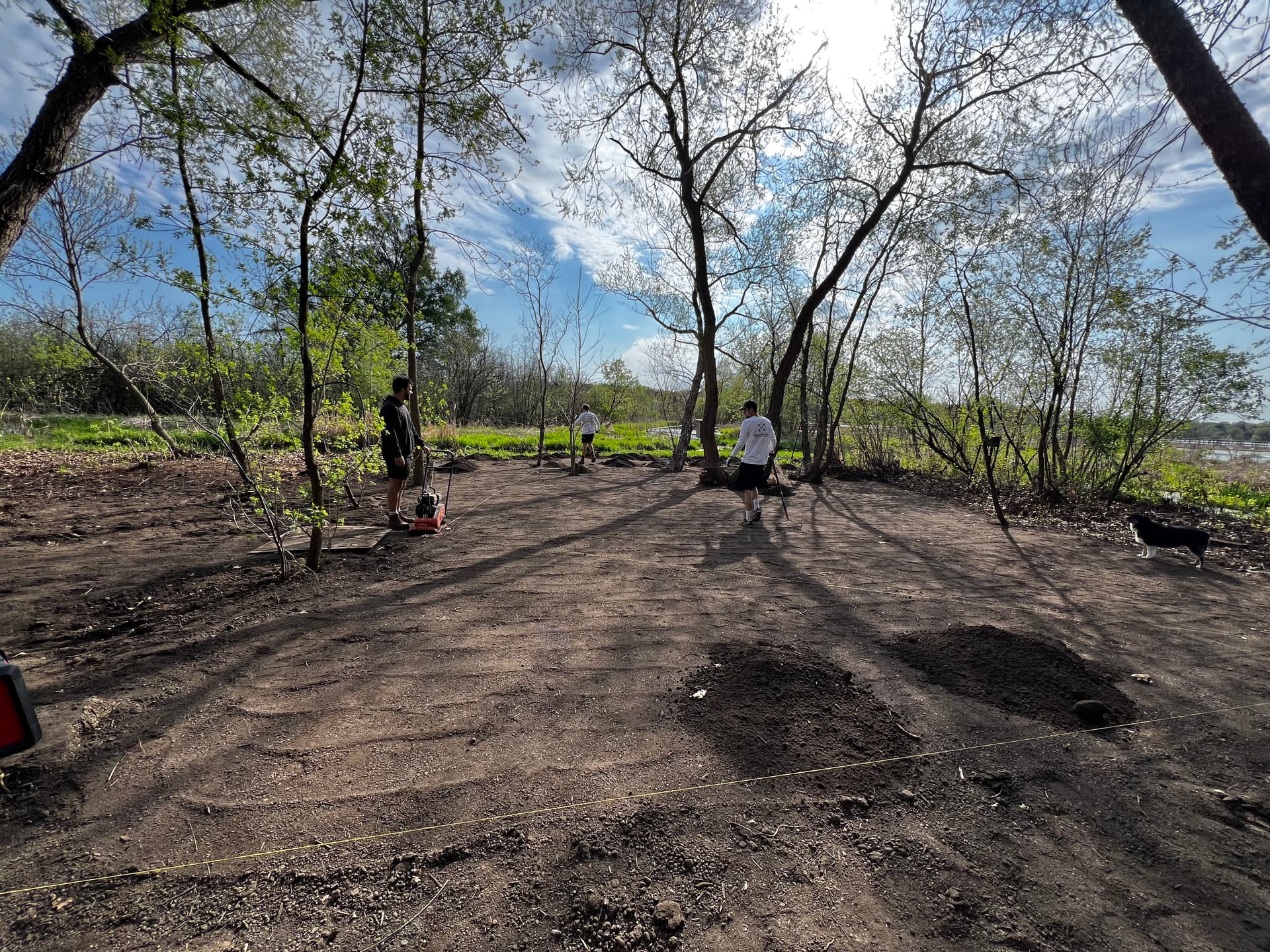Gallery photos for Backyard Flooding Fixed With Regrading and Mulch Installation: Image #1