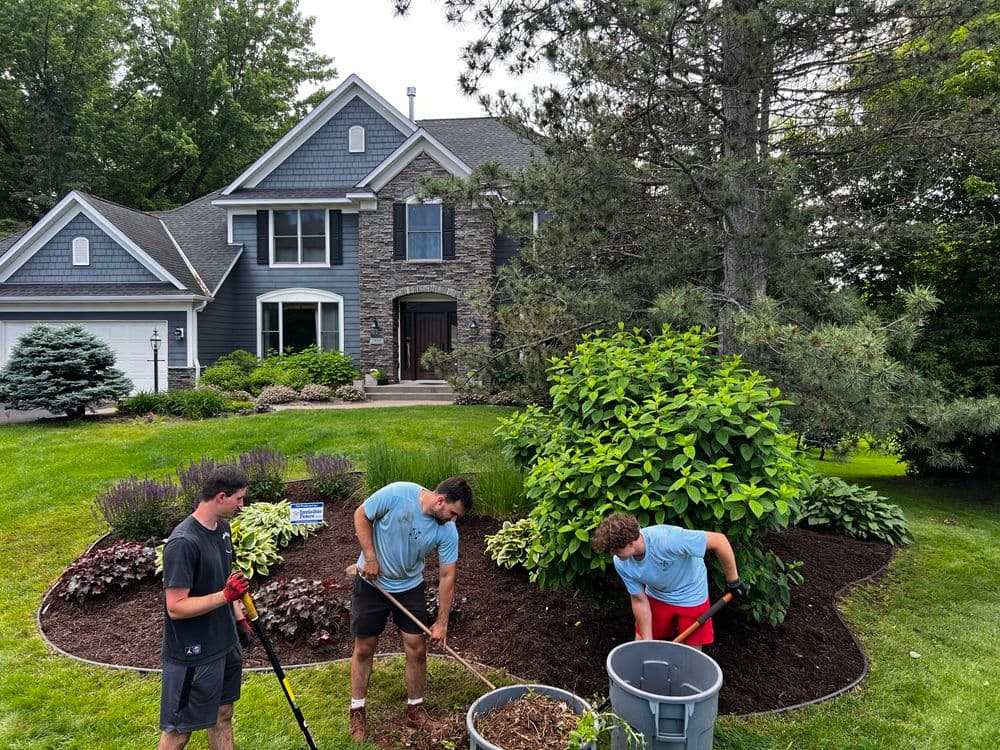 Three gardeners planting flowers in front of a blue house with landscaped shrubs and mulch.