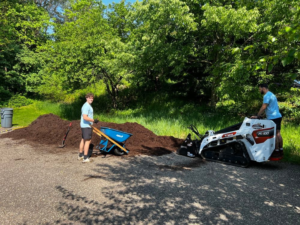 Two workers using a mini skid steer and wheelbarrow to move mulch in a lush green garden setting.