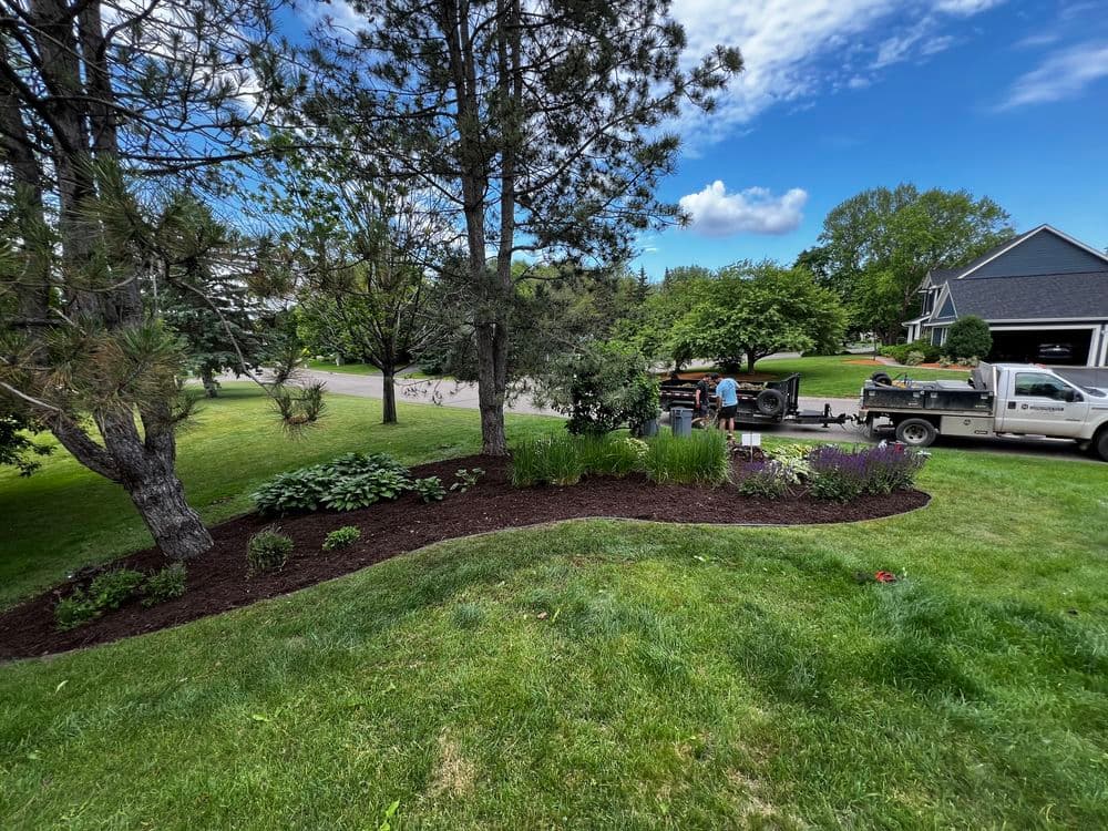 Landscaping project in a residential yard with mulch, plants, and a truck on a sunny day.