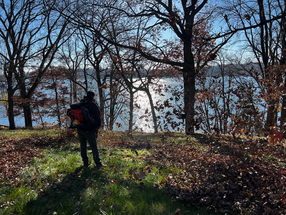 Person using a leaf blower in a wooded area by a lakeshore on a sunny day.